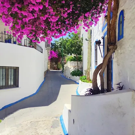 18th Century Renovated Stone House, Terrace, Free Fast Wi-fi Bodrum
