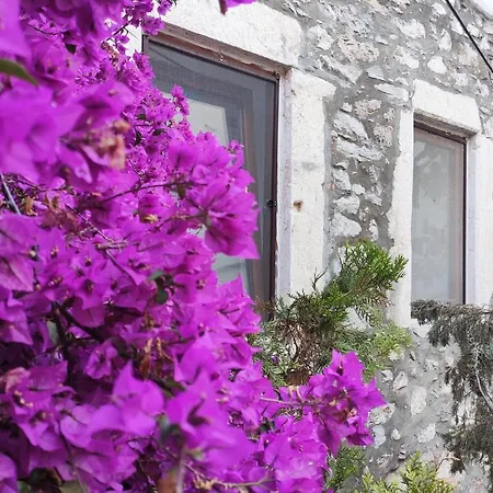 Apartment 18th Century Renovated Stone House, Terrace, Free Fast Wi-fi *