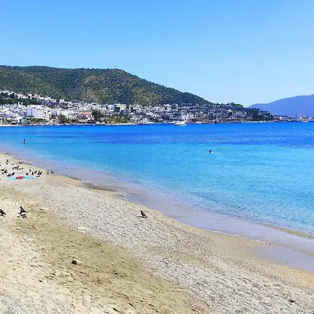 Apartment 18th Century Renovated Stone House, Terrace, Free Fast Wi-fi Bodrum